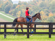 AK021025-12 - Believitanducan